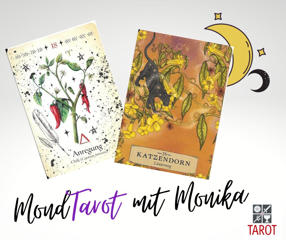 loewe, neumond, mondtarot,